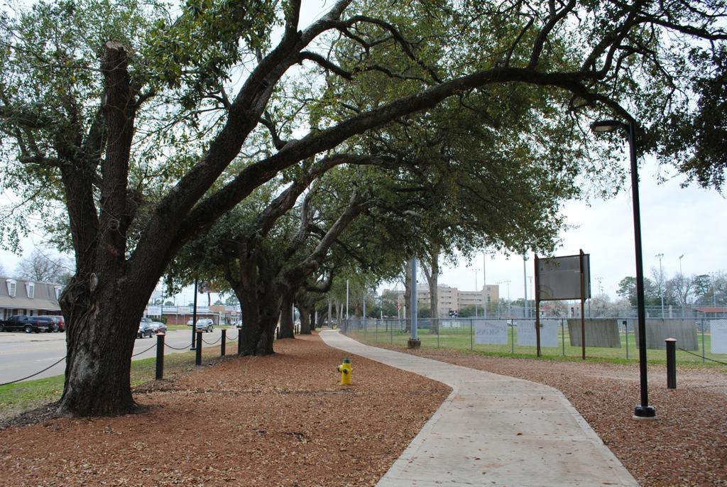 Masonic Drive Improvements Include: Streetscape enhancement, introducing plantings and street trees with seasonal