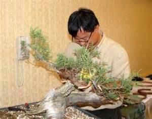 Suthin Sukosolvisit A native of Thailand, Suthin Sukosolvisit is recognized as one of the premier bonsai masters in the United States.