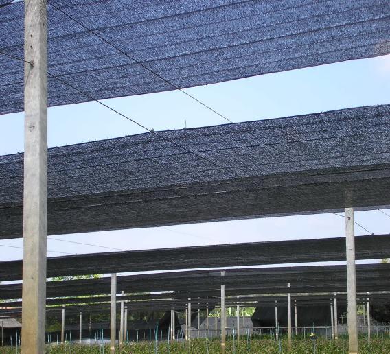 The feature of nets used as protection against the sun and winds seen from the