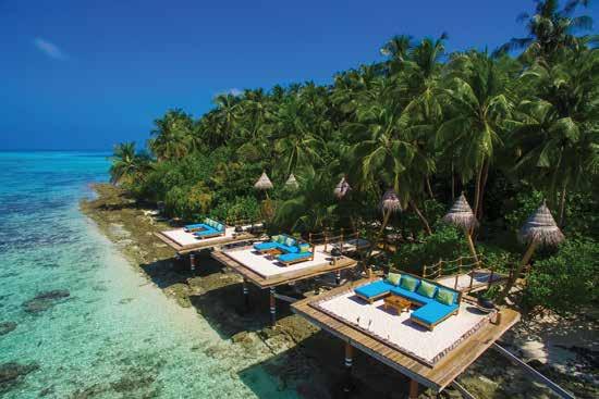 The concept of jungle decks have been developed in the island to provide the best Nature s experience that is one of a kind in the Maldives.