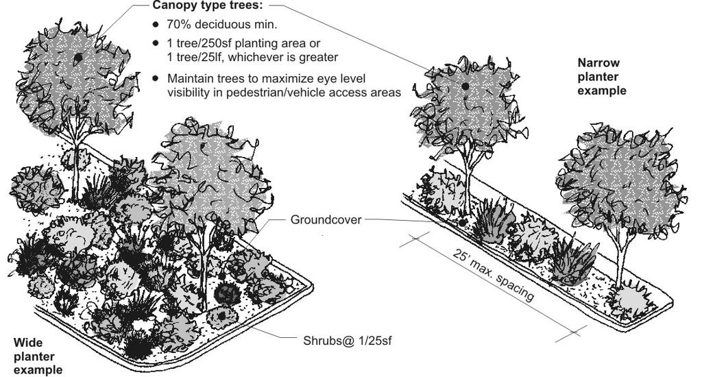 (F) Maintain trees and shrubs to maximize pedestrian visibility (generally between three and eight feet above grade); and (G) The selected plant materials and configuration will meet the purpose of
