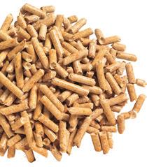 The large volumes of wood shavings and sawdust generated by the wood-processing industry are compacted and pelleted without being