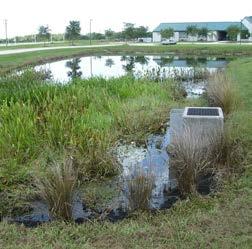 clean air, filter water and provide shade. WET POND Large permanent pool that allows sediments to settle.
