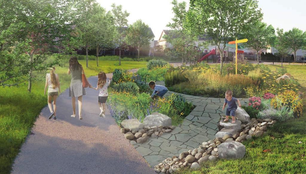 engineered features in parks, including trees, constructed wetlands and renaturalized areas, increase wildlife habitat and opportunities for outdoor activity and education SITE SPECIFIC DESIGN