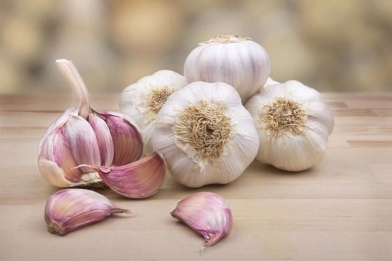 Tuesday September 12th 10:00 AM and 6:00 PM Growing Garlic In Kentucky Nothing gives dishes more flavor than fresh garlic and it is easy to grow.