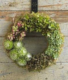 June 6th at 10:00 AM and 6:00 PM How To Make A Hardy Living Wreath In this session I will demonstrate how to make a wreath complete with live succulents growing on it.