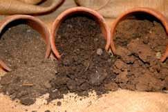 soil systems Soil systems contain organisms, organic matter, air, water, minerals, and nutrients. Soils have texture and structure.