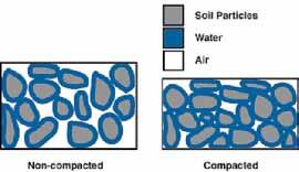 Soil structure describes the clumping of particles. Structured particles have spaces between them where air and water circulate, roots grow, and organisms live.