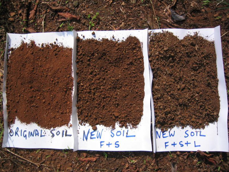 The processed combination of NEW SOIL was very similar in appearance to original soil since 76.5% of its new volume and 83.8 % of its new weight consists of the original soil.
