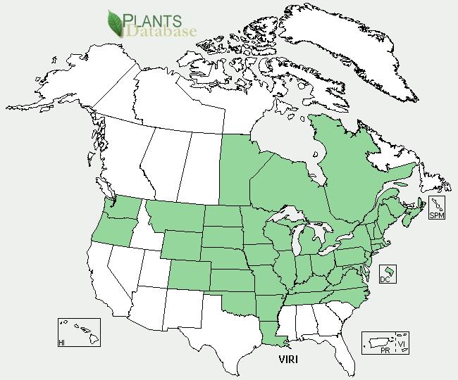 Figure 2: Vitis Riparia Michx. Distribution in North America.