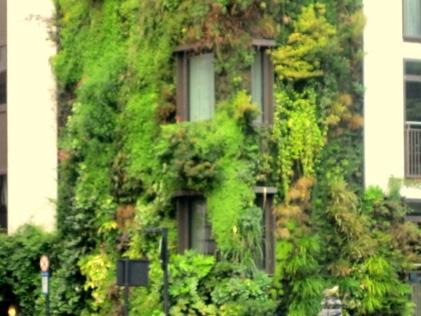growing; living walls with an uniform growth of plants on the building, comprising modular systems which are related to interlocking units and vertical gardens which are regarding to lightweight