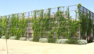 The application of green walls can be used to express urban design contents such as the regulation of buildings height, the definition of buildings alignments along the streets, the camouflage of