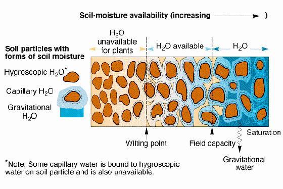 Moisture equivalent : It is defined as the percentage of water held by one centimeter thick moist layer of soil subjected to a centrifugal force of 1000 times of gravity for half an hour.