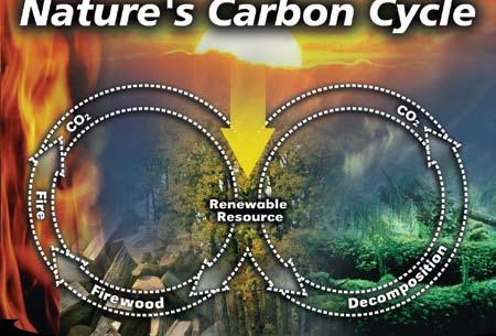 Burning Wood in an RSF Fireplace is Good for the Environment Using energy from the sun, nature s carbon cycle goes around, from the atmosphere to the forest and back.