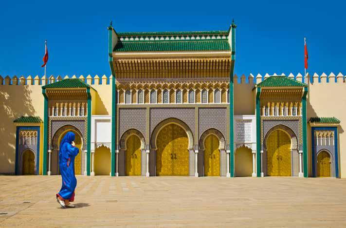 The entrance to the Royal Palace in Fez The History of Science and Medicine in