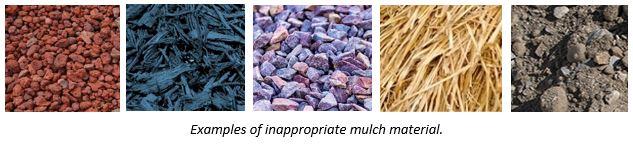 iv. Mulch & Decorative Stone Appropriate mulch may be shredded wood of various types, bark chips, rubber (12mm or larger in brown or black colour, with a natural wood mulch appearance), or decorative
