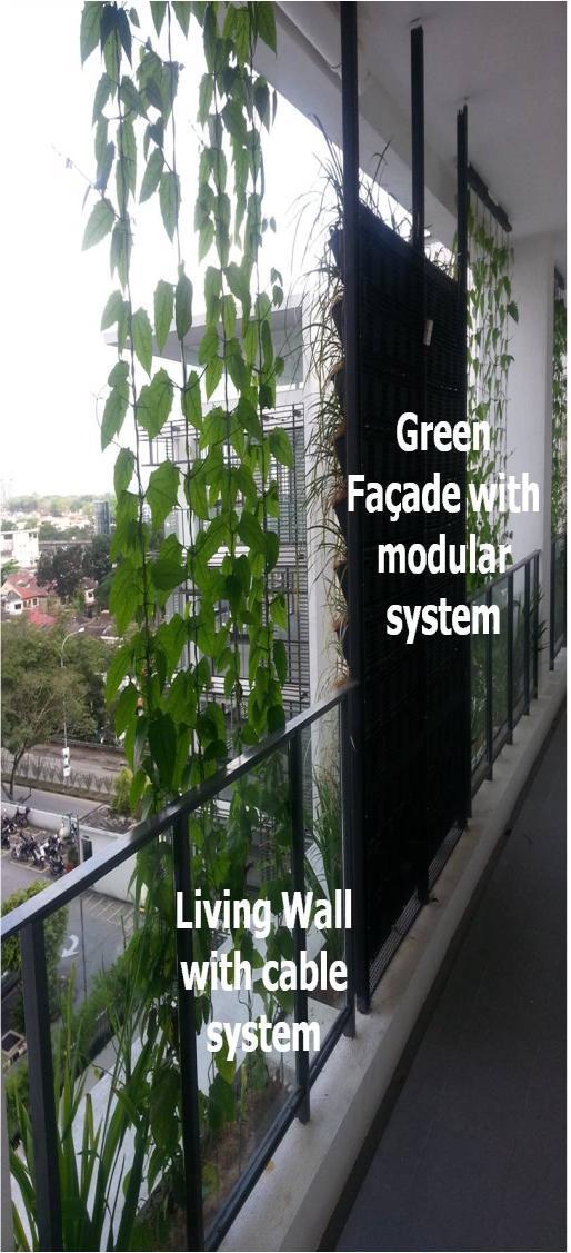 3 Methodology An experimental approach used in this study consists of two panels vertical greenery system characterized as green facades and living walls are installed in front of the 5-storey office