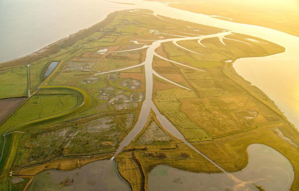 Summary Compensate for the loss of saltmarsh elsewhere in the Severn Estuary in order to maintain defences that protect 84,000 properties worth 5 billion Improved flood protection for Steart village