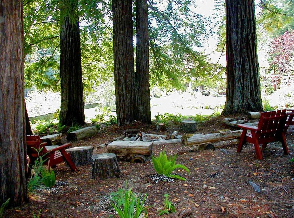 Staggering redwoods, organic fruit orchards and vegetable gardens are surrounded by English cutting gardens, specimen trees, a