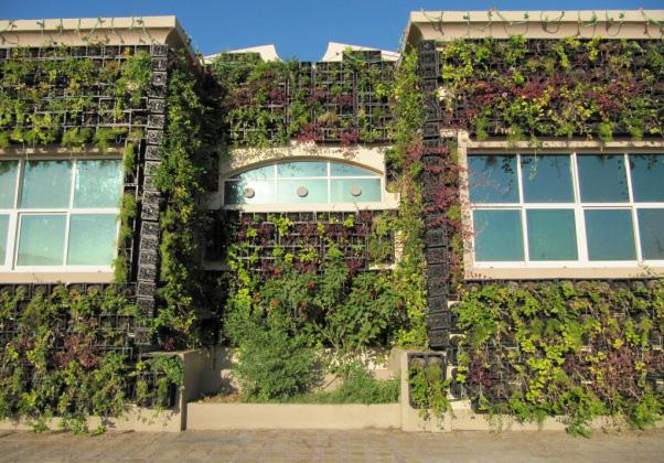 42 Design and Nature VI materials. Green wall technology has a visual impact on buildings, and it can help to address the lack of green space in urban environments.