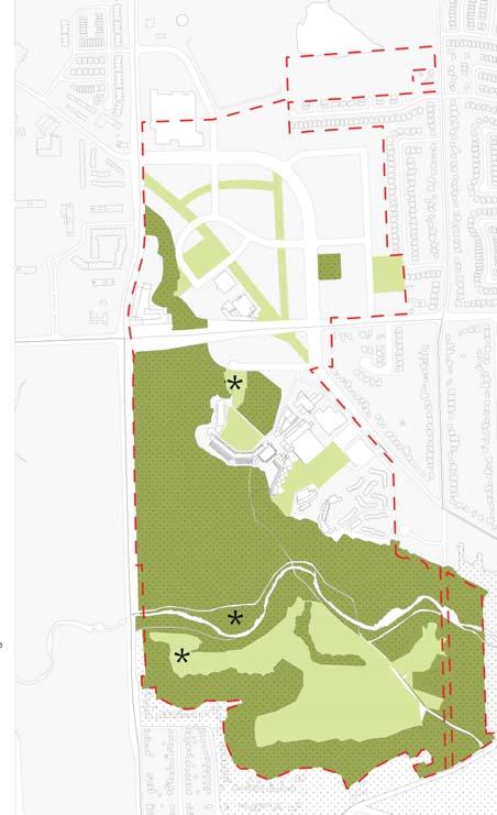 Open Space and Environmental Stewardship 6 The Secondary Plan will recognize the important relationship between the Highland Creek Ravine and UTSC, and will ensure that the University s natural
