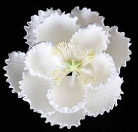 SINGLE EXTRA LARGE FLOWER WHITE 1/BOX 6 390893 PEONY