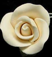 FINEST STYLE ROSE AVAILABLE <---------- 390536