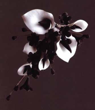 Black & White Lily Sprays