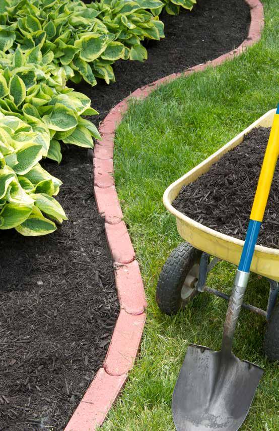 EDGERS Edgers provide a decorative and durable border to pathways, flowerbeds and other