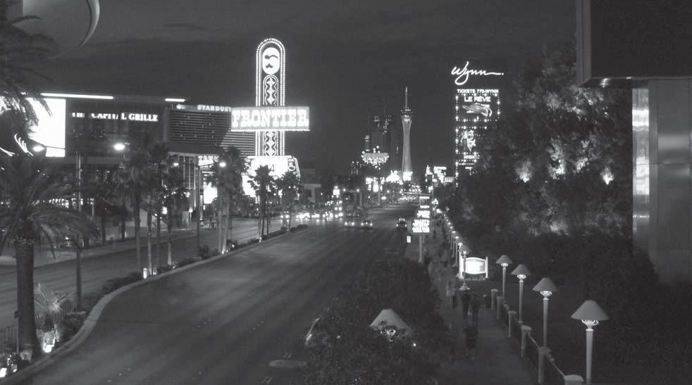 Mestne zelene površine Slika 1: Ulična razsvetljava v Las Vegasu, ZDA (vir: zasebna zbirka).