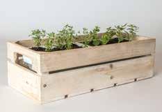WaterWick Mini Gardens With the WaterWick Mini Gardens, growers obtain a simple solution to expand