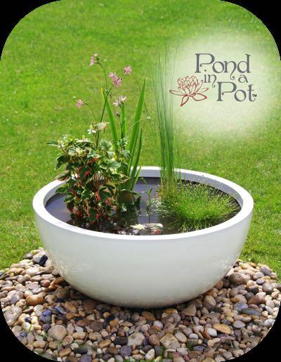 The fibreglass material results in a practical, durable planter that will NOT crack in the frost, will NOT fade over time in the sunlight and is