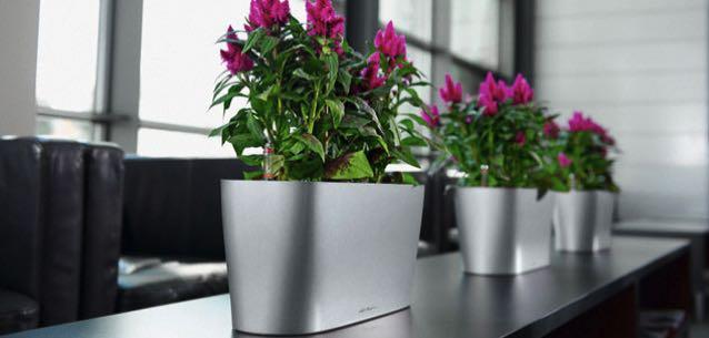 Characters of Fibreglass Planters The first character of Fibreglass Garden Planters is that it offers plenty of insulation, which helps to keep the