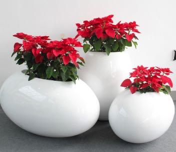 Such Modern Planters are different comparing to the each other but then there are few common features that may be seen in most of the fibreglass