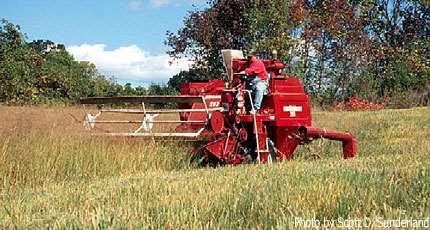 Harvesting seed from warm season grasses TYPES OF MOWING: There are three main types of mowing: block mowing, strip mowing, and random pattern mowing.