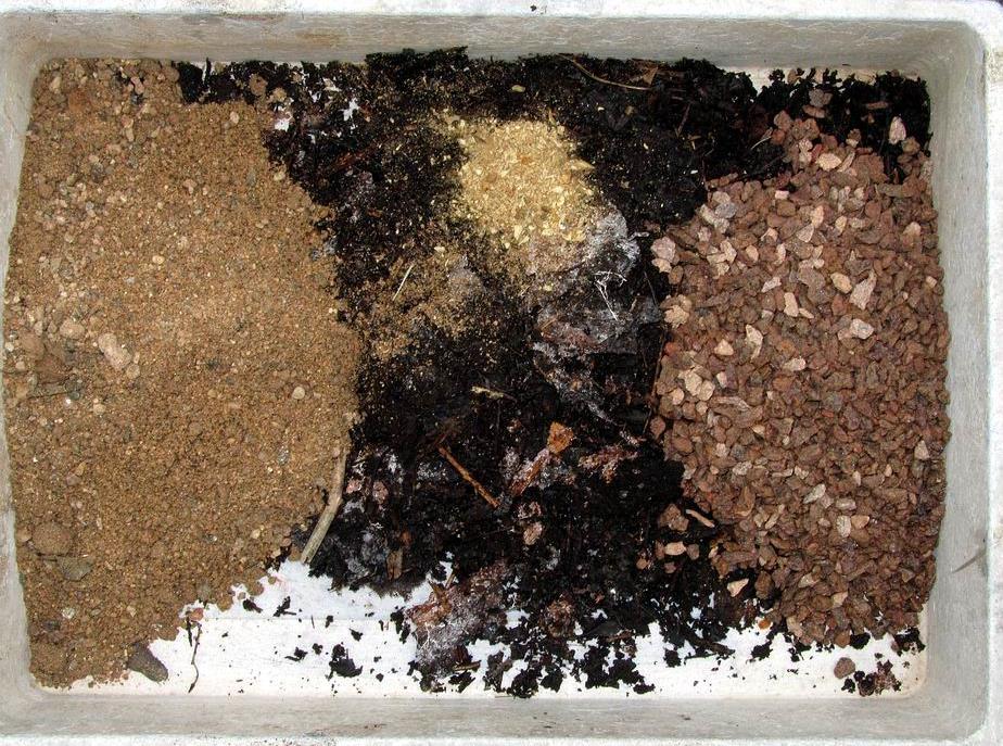 The mix is roughly equal parts by volume of sharp sand, leafmould and 6mm grit plus a small amount of bone meal.