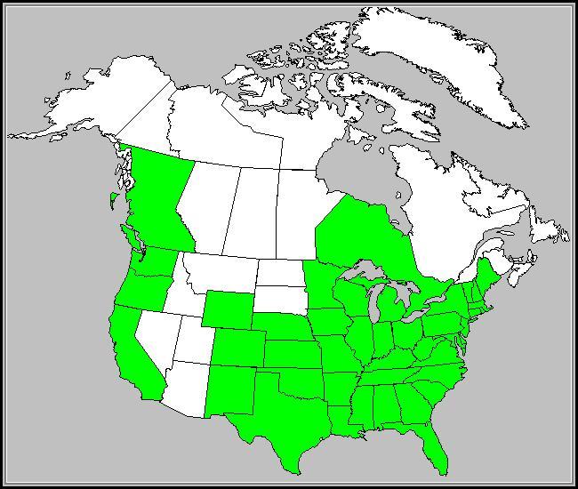 Species Distribution in the North America Lanceleaf Tickseed is endemic to the North America continent.