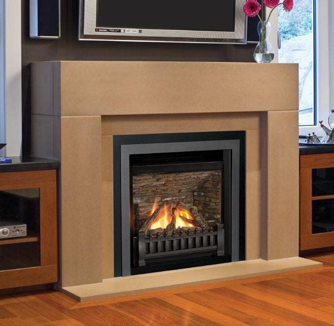 Horizon For over a decade the Horizon Series has proven itself as an effective and affordable gas fireplace solution for insert and new home configurations.