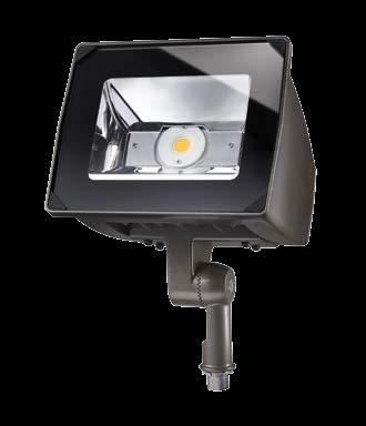 Caretaker area luminaire delivers unmatched light output and functionality in a rugged design to address low-maintenance security lighting