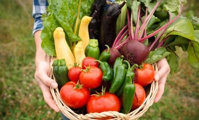 Growing national interest in food gardening 1 in 3 households now grow a portion