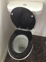 White toilet with a silver push button flush,