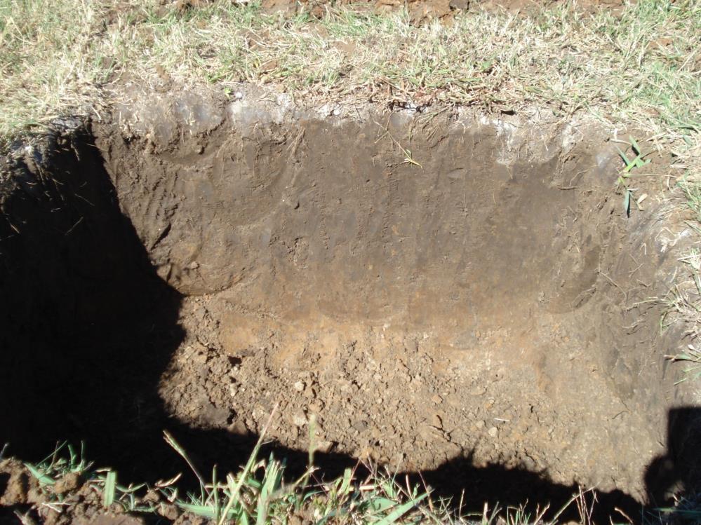 Soil Characteristics Windthorst- Duffau- Bunyan Fairlie- Dalco- Crockett Callisburg -Gasil- Aubrey Depth to bedrock (cm) 146 117 133 Texture (depth, cm) upper sandy loam silty clay sandy (30) loam