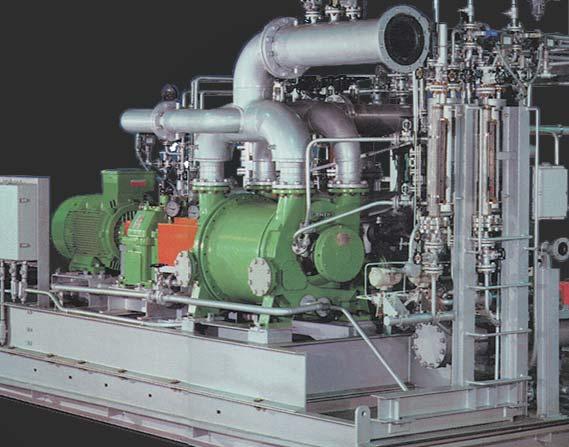 engineered systems are built to last Gardner Denver Nash provides the broadest range of vacuum packages to ensure a complete solution for your process needs.