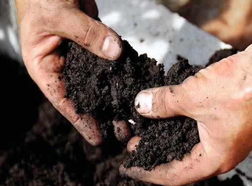 Plant, Soil and Water Relationships Another important influence on soil behavior is the zone of saturation where soil pores are filled with water.