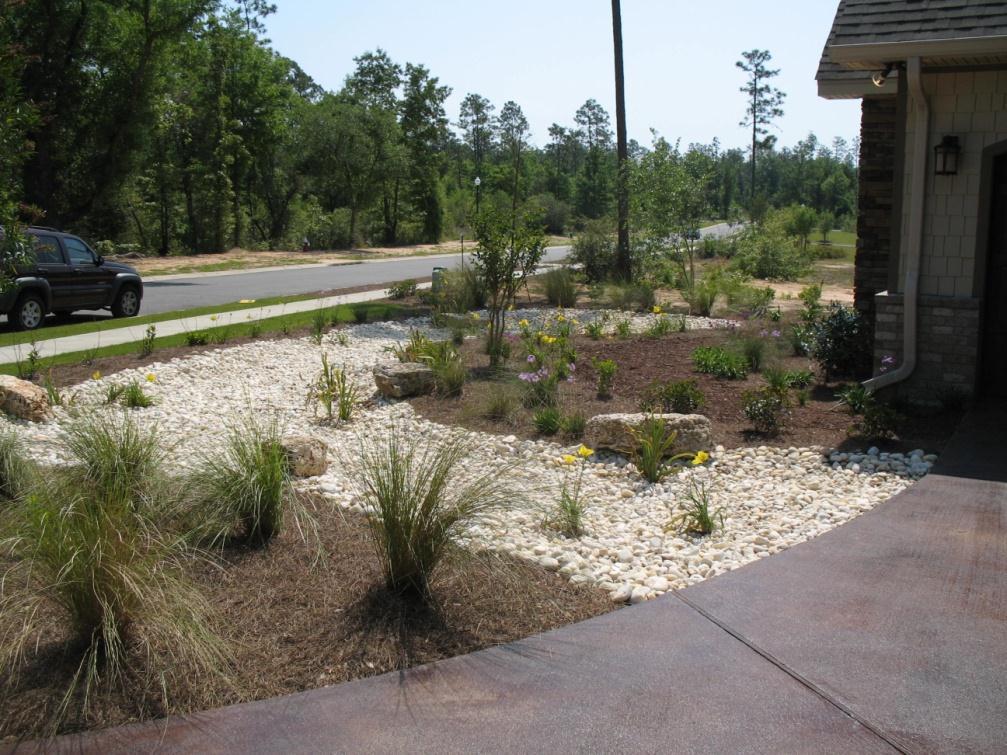 #8: Reduce Stormwater Runoff Design a rain garden Rain gardens are grasses and other wetland plants that filter water