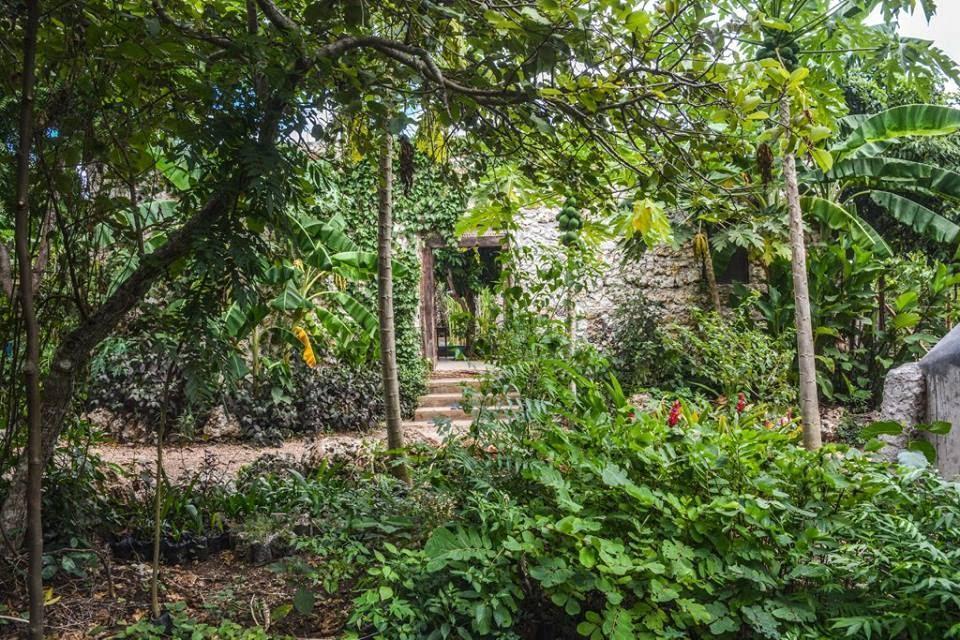 International Permaculture Design Certification Course Tropical Food Forest and Urban Permaculture with Edouard van Diem, John Laizer and Laura Maier January 8 th -19 th 2018 at the Practical