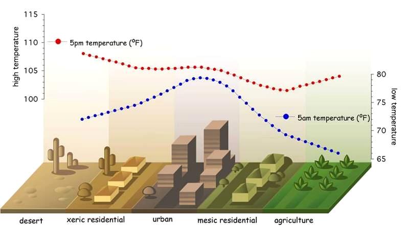 prevalence of dark and dense building materials in the environment such as those use for