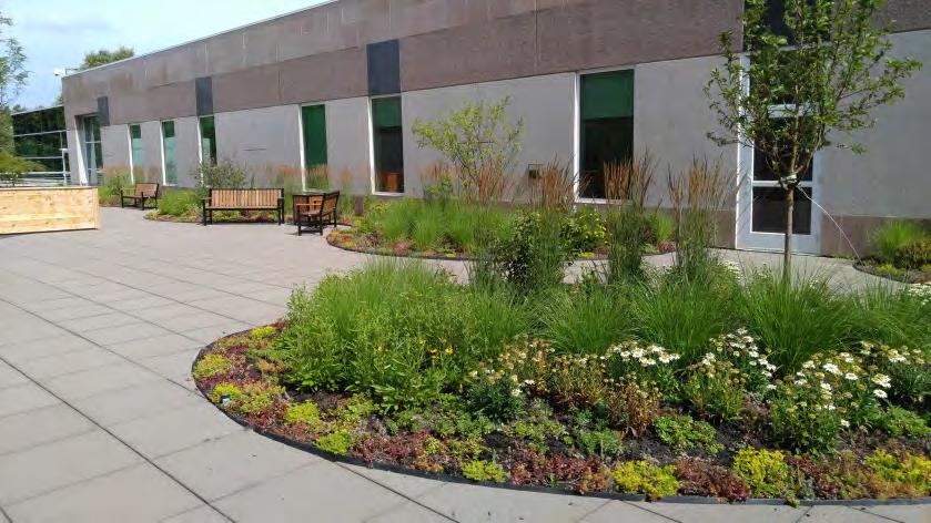 The first phase of this $350,000 healing garden was completed in 2016.