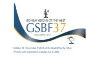html ABS/GSBF Bonsai Visions of the West October 31,2014