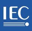 INTERNATIONAL STANDARD IEC 61479 Edition 1.